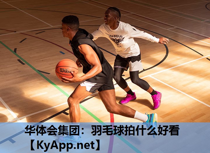 羽毛球拍什么好看 羽毛球拍什么好看