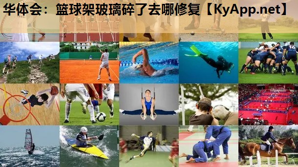 篮球架玻璃碎了去哪修复 篮球架玻璃碎了去哪修复