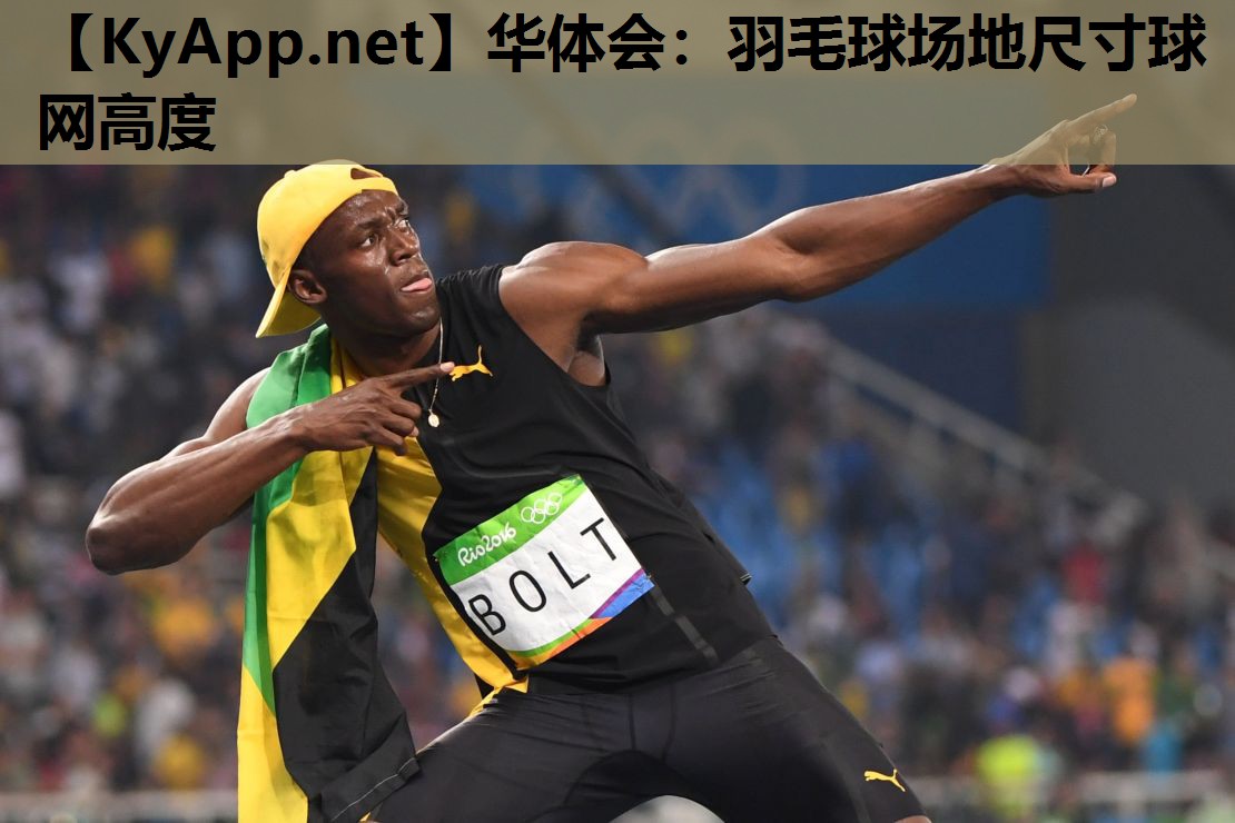 羽毛球场地尺寸球网高度 羽毛球场地尺寸球网高度