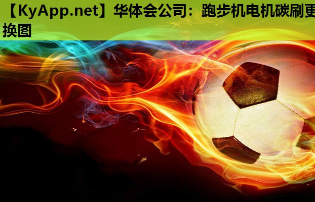跑步机电机碳刷更换图 跑步机电机碳刷更换图
