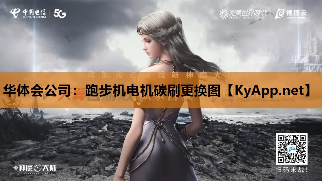 跑步机电机碳刷更换图 跑步机电机碳刷更换图