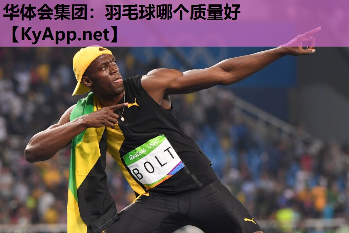 羽毛球哪个质量好 羽毛球哪个质量好