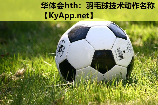 羽毛球技术动作名称 羽毛球技术动作名称