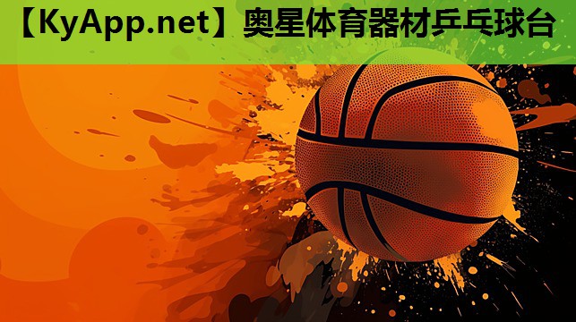 奥星体育器材乒乓球台 奥星体育器材乒乓球台