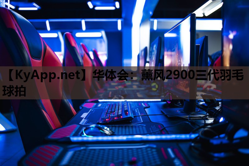 薰风2900三代羽毛球拍 薰风2900三代羽毛球拍