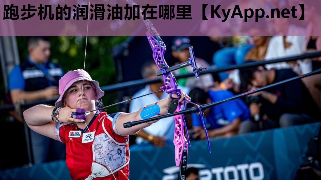 跑步机的润滑油加在哪里 跑步机的润滑油加在哪里