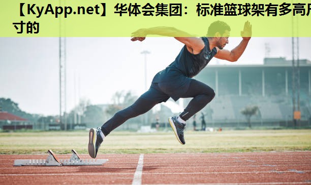 标准篮球架有多高尺寸的 标准篮球架有多高尺寸的