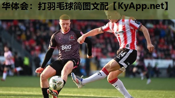 打羽毛球简图文配 打羽毛球简图文配