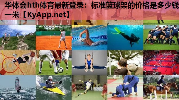 标准篮球架的价格是多少钱一米 标准篮球架的价格是多少钱一米