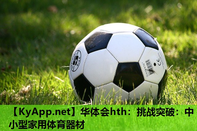 挑战突破:中小型家用体育器材 挑战突破:中小型家用体育器材