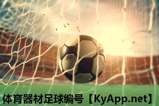 体育器材足球编号 体育器材足球编号