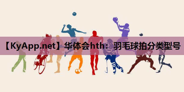 羽毛球拍分类型号 羽毛球拍分类型号