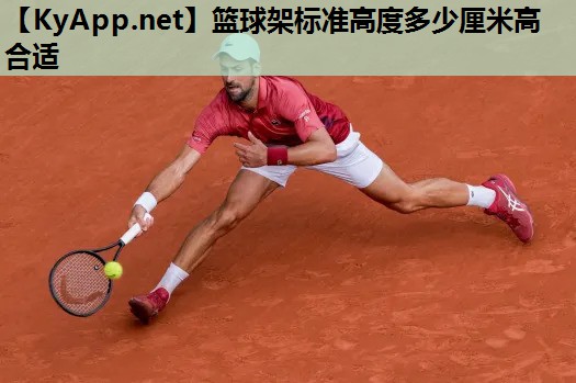 篮球架标准高度多少厘米高合适 篮球架标准高度多少厘米高合适