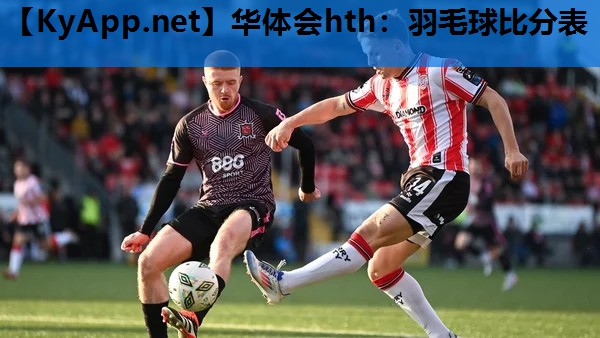 羽毛球比分表 羽毛球比分表